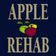 Apple Rehab Rocky Hill