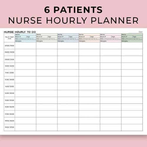 Hourly brain sheet.